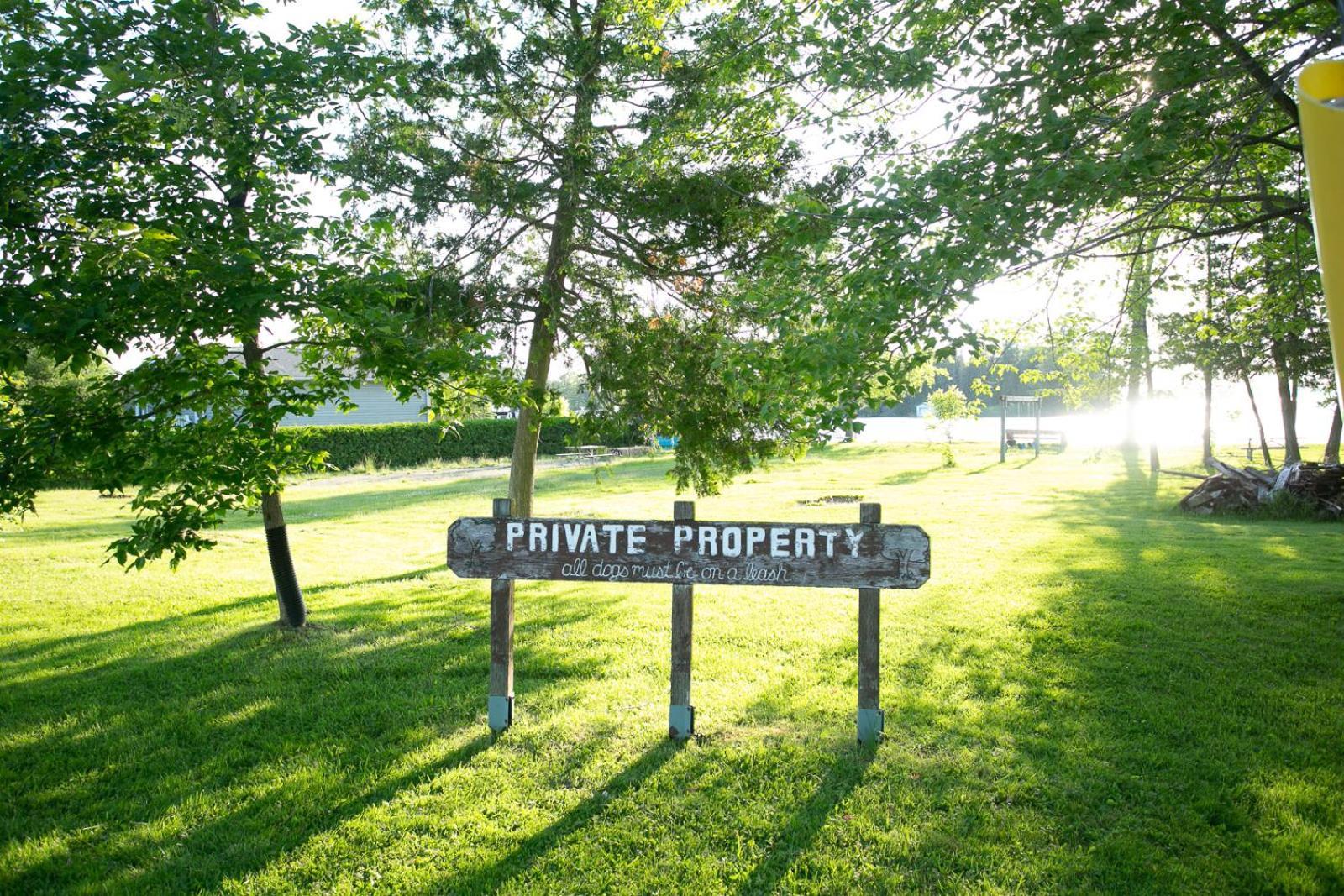 Fun Place With A Sandy Beach For Swimming, Boating, And Fishing, Featuring 3 Available Cabins Fenelon Falls ภายนอก รูปภาพ